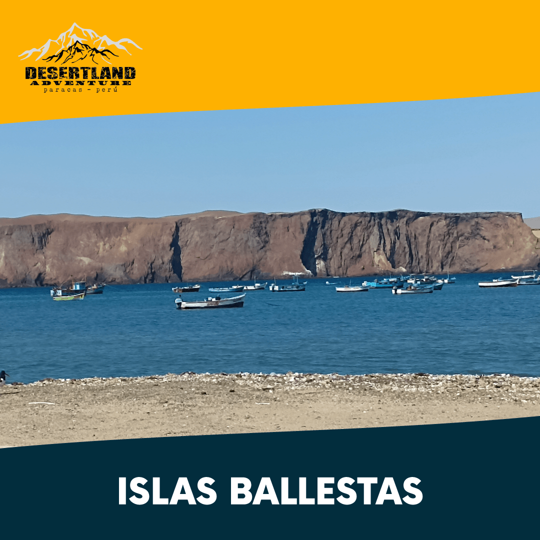Islas Ballestas Paracas