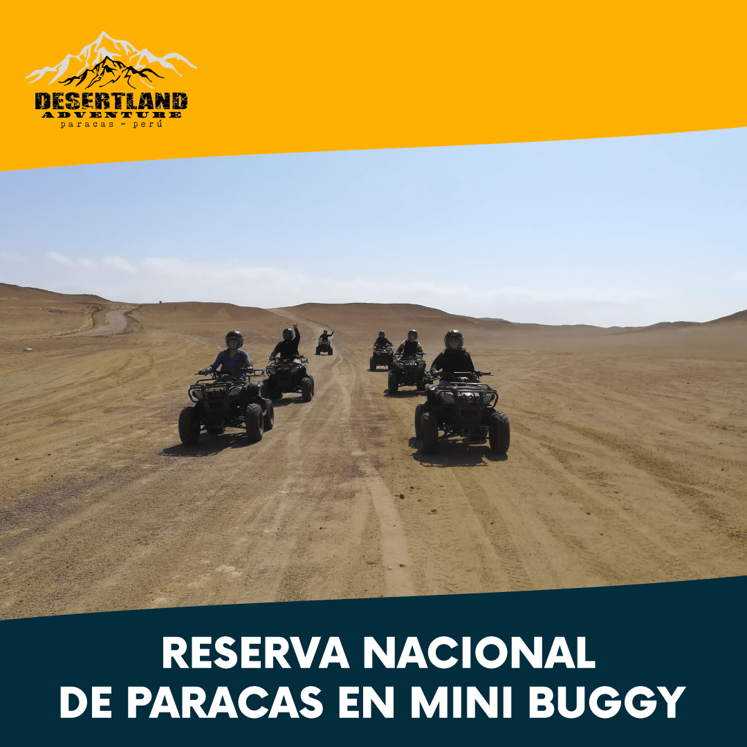 Muelle de Paracas y Cruceristas